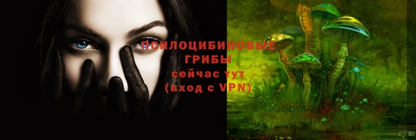 мяу мяу мука Алзамай