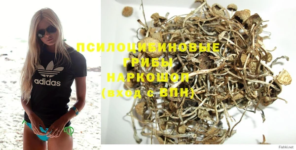 мяу мяу мука Алзамай