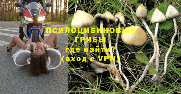 мяу мяу мука Алзамай