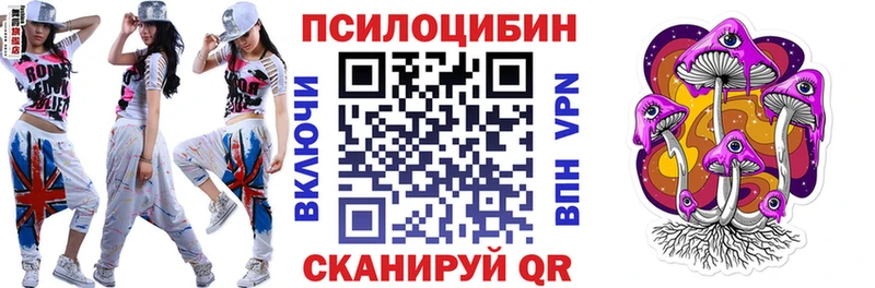 блэк спрут онион  сколько стоит  Ачинск  Псилоцибиновые грибы GOLDEN TEACHER 