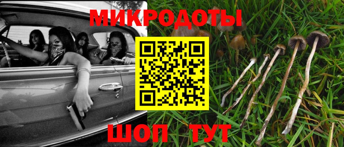 Галлюциногенные грибы Cubensis Ачинск